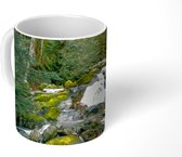 Mok - Koffiemok - Natuur - Waterval - Bomen - Herfst - Mokken - 350 ML - Beker - Koffiemokken - Theemok