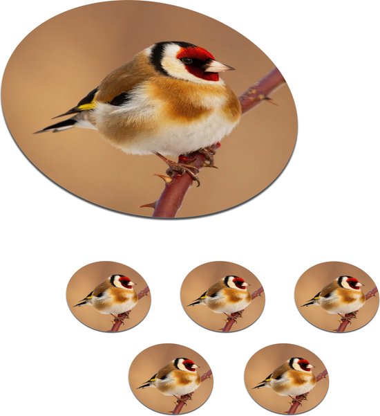 Onderzetters voor glazen - Rond - Putter - Vogel - Dieren - 10x10 cm - Glasonderzetters - 6 stuks