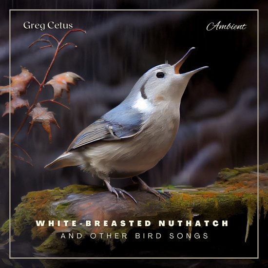 White-breasted Nuthatch and Other Bird Songs - cover