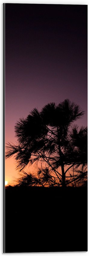 WallClassics - Dibond - silhouet van Zonsondergang achter Boompje - 20x60 cm Foto op Aluminium (Met Ophangsysteem)