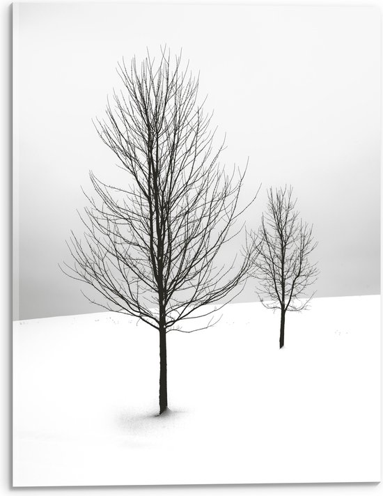 WallClassics - Acrylglas - Twee Kale Bomen in Sneeuwlandschap - 30x40 cm Foto op Acrylglas (Wanddecoratie op Acrylaat)