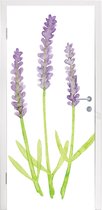 Deursticker Lavendel - Aquarel - Planten - 95x215 cm - Deurposter