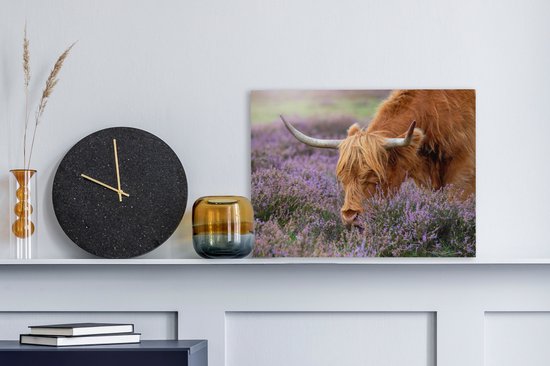 Tableau sur toile Scottish Highlander - Animaux - Bruyère - 40x30 cm - Décoration murale