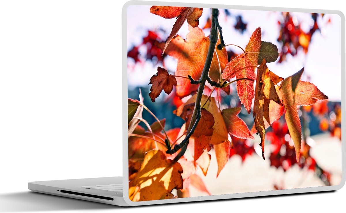 Laptop sticker - 13.3 inch - Esdoorn - Bladeren - Landelijk - Herfst - 31x22,5cm - Laptopstickers - Laptop skin - Cover