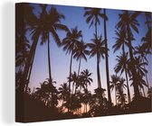 Canvas Schilderij Palmboom - Tropisch - Zomer - Lucht - 90x60 cm - Wanddecoratie