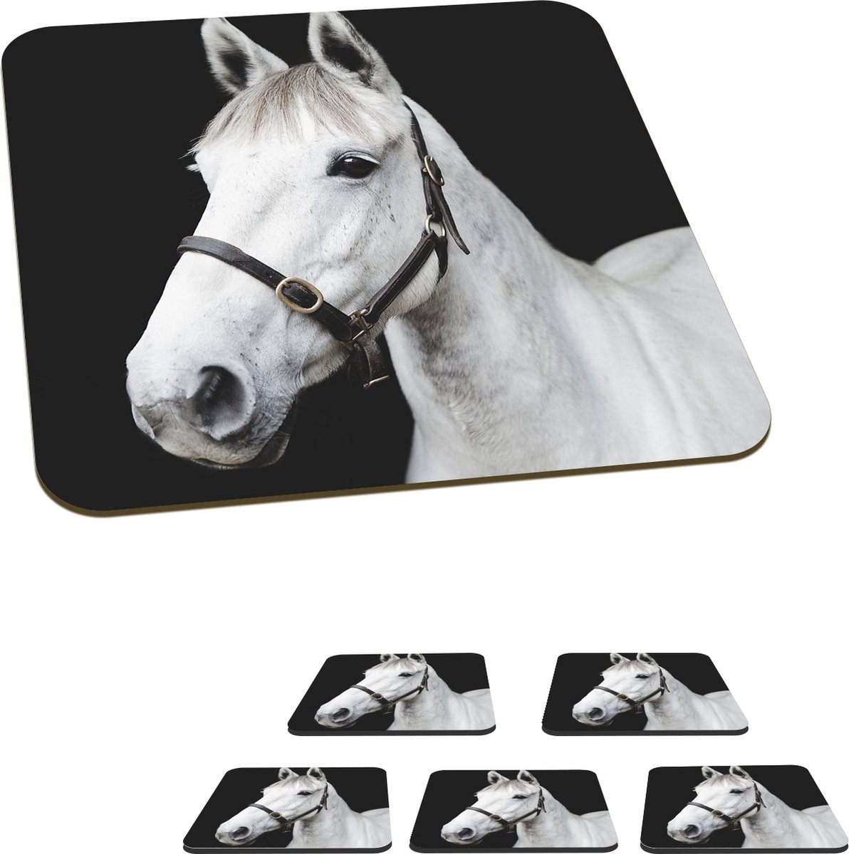 Onderzetters voor glazen - Paard - Halster - Wit - 10x10 cm - Glasonderzetters - 6 stuks