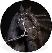 WallCircle - Wandcirkel ⌀ 90 - Paard - Halster - Manen - Ronde schilderijen woonkamer - Wandbord rond - Muurdecoratie cirkel - Kamer decoratie binnen - Wanddecoratie muurcirkel - Woonaccessoires