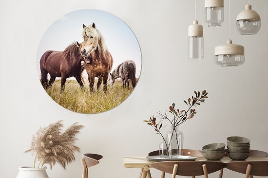 WallCircle - Wall Circle - Wall Circle Indoor - Paarden - Herbe - Printemps - 120x120 cm - Décoration murale - Peintures Ronds XXL