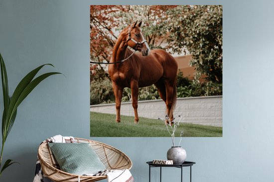 Stickers muraux - Cheval - Arbre - Licol - 120x120 cm - Feuille adhésive XXL