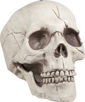 Mâchoire Mobile Boland Skull 16 X 14 X 21 Cm