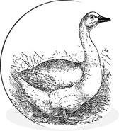 Une illustration d'un canard en herbe haute Cercle mural aluminium ⌀ 30 cm - impression photo sur cercle mural / cercle vivant / cercle de jardin (décoration murale)