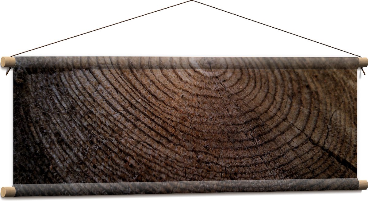 Textielposter - Oude Dikke Boomstam - 90x30 cm Foto op Textiel