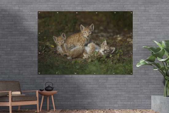 Décoration murale Lynx d'Europe en forêt - 180x120 cm - Poster jardin - Toile jardin - Poster extérieur