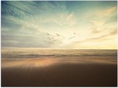 WallClassics - Poster (Matte) - Vogels volant au-dessus de la mer et de la plage - 40x30 cm Photo sur Papier Poster avec un aspect Mat