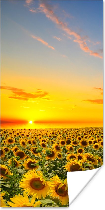 Poster Bloemen - Zonnebloem - Zonsondergang - Nacht - Oranje - 60x120 cm