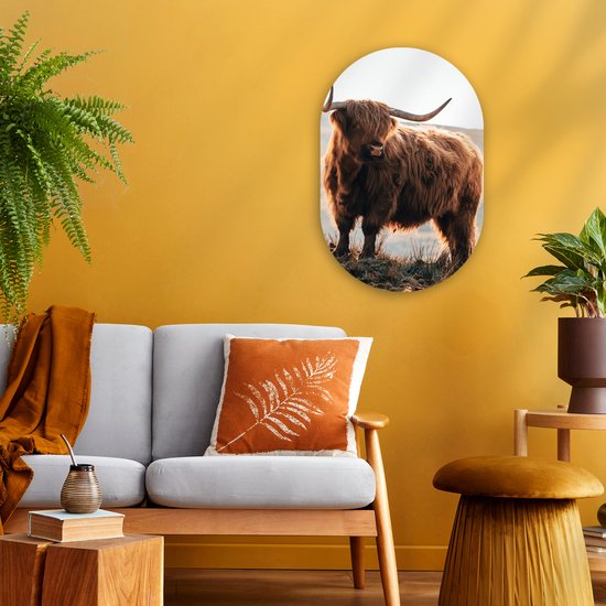 Wall Oval - Décoration murale en plastique - Peinture ovale - Highlander écossais - Animaux - Rural - Paysage - 40x60 cm - Miroir ovale sur plastique