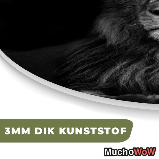Décoration murale Organique - Décoration Décoration murale Plastique - Peinture Organique - Animaux Sauvages - Lion - Noir - Wit- 90x90 cm - Forme Miroir Organique sur Plastique