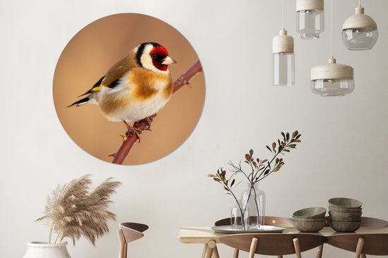 Cercle Mural - Cercle Mural - Chardonneret - Vogel - Animaux - Aluminium - Dibond - 140x140 cm - Intérieur et Extérieur