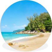 WallCircle - Wandcirkel ⌀ 140 - Strand - Zee - Planten - Tropical - Ronde schilderijen woonkamer - Wandbord rond - Muurdecoratie cirkel - Kamer decoratie binnen - Wanddecoratie muurcirkel - Woonaccessoires