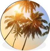 WallCircle - Wandcirkel - Muurcirkel - Palmboom - Zon - Zomer - Tropical - Aluminium - Dibond - ⌀ 120 cm - Binnen en Buiten XXL