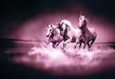 Fotobehang Unicorns Horses Purple Black | XXXL - 416cm x 254cm | 130g/m2 Vlies