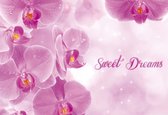 Fotobehang Flowers Orchids Pink | XXXL - 416cm x 254cm | 130g/m2 Vlies