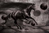 Fotobehang Horse Spheres Black 3D | XL - 208cm x 146cm | 130g/m2 Vlies