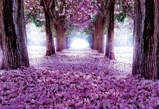 Fotobehang Flowers Tree Path Purple | XL - 208cm x 146cm | 130g/m2 Vlies