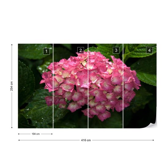 Papier peint photo Fleurs Hortensia Rose | XXXL - 416 cm x 254 cm | Polaire 130g / m2