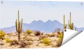 Gards Tuinposter Cactussen in de Woestijn - 80x40 cm - Tuindoek - Tuindecoratie - Wanddecoratie buiten - Tuinschilderij