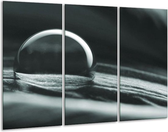 Glas schilderij Macro | Grijs, Groen | | Foto print op Glas |  F006346