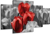 GroepArt - Schilderij -  Tulpen - Rood, Grijs, Zwart - 160x90cm 4Luik - Schilderij Op Canvas - Foto Op Canvas