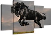 GroepArt - Schilderij -  Paarden - Zwart, Wit, Grijs - 160x90cm 4Luik - Schilderij Op Canvas - Foto Op Canvas