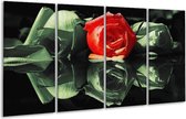 GroepArt - Glasschilderij - Roos - Rood, Groen, Zwart - 160x80cm 4Luik - Foto Op Glas - Geen Acrylglas Schilderij - 6000+ Glasschilderijen Collectie - Wanddecoratie