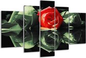 Glasschilderij Roos - Rood, Groen, Zwart - 170x100cm 5Luik - Foto Op Glas - Geen Acrylglas Schilderij - 6000+ Glasschilderijen Collectie - Wanddecoratie