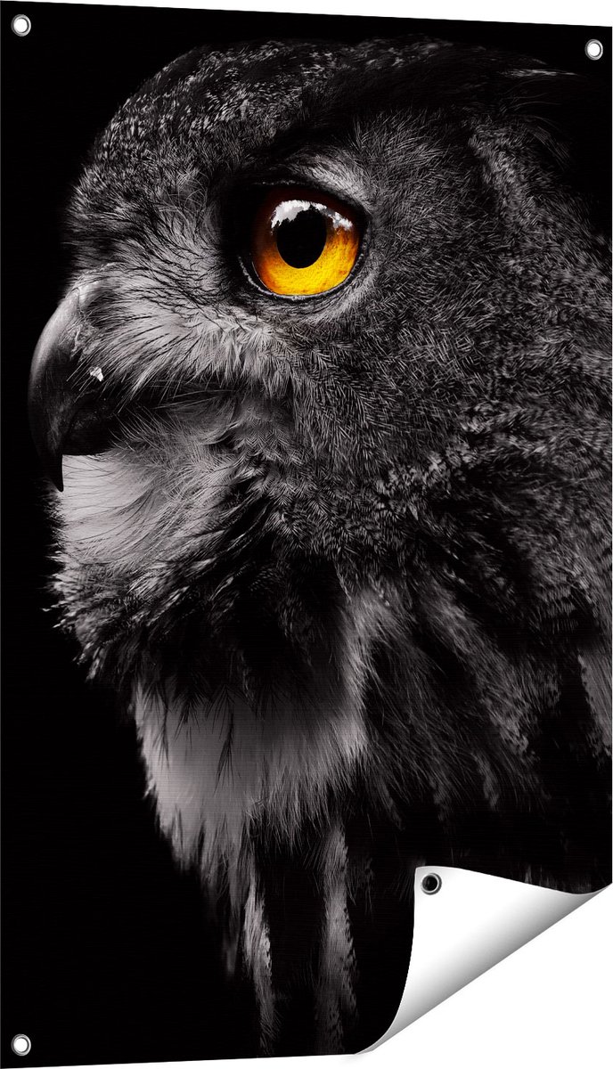 Gards Tuinposter Zwarte Uil met Gouden Ogen - 60x90 cm - Tuindoek - Tuindecoratie - Wanddecoratie buiten - Tuinschilderij Multikleur