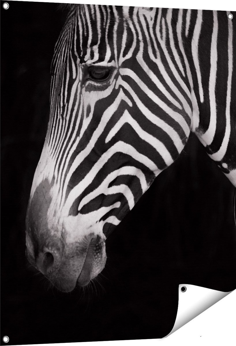 Gards Tuinposter Zebra Kop vanaf de Zijkant - Zwart Wit - 80x100 cm - Tuindoek - Tuindecoratie - Wanddecoratie buiten - Tuinschilderij Multikleur