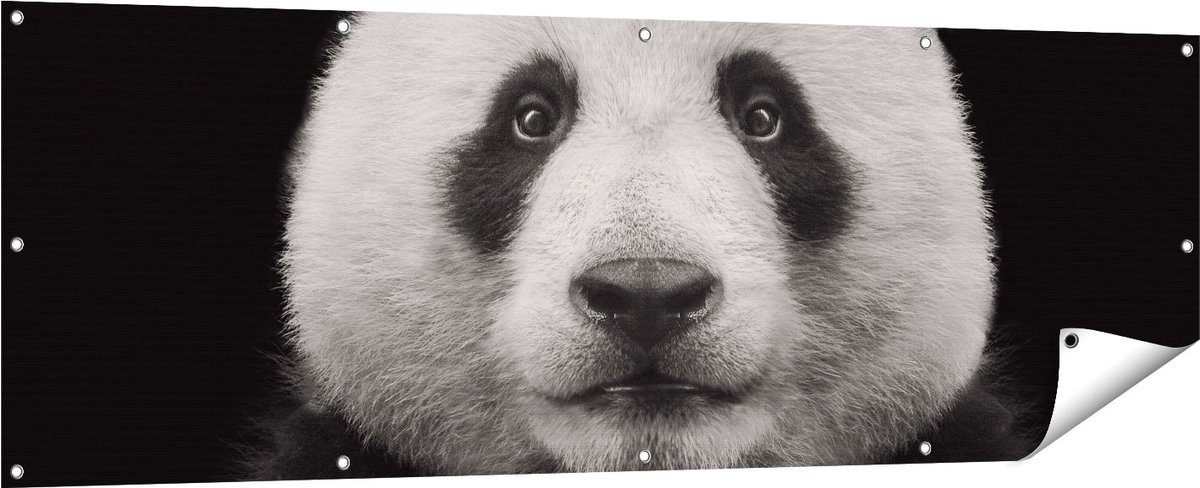 Gards Tuinposter Panda - Pandakop - 180x60 cm - Tuindoek - Tuindecoratie - Wanddecoratie buiten - Tuinschilderij Multikleur