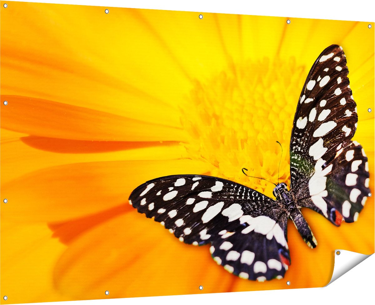 Gards Tuinposter Vlinder op een Oranje Bloem - 180x120 cm - Tuindoek - Tuindecoratie - Wanddecoratie buiten - Tuinschilderij Multikleur