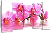 GroepArt - Canvas Schilderij - Orchidee - Roze, Wit - 150x80cm 5Luik- Groot Collectie Schilderijen Op Canvas En Wanddecoraties