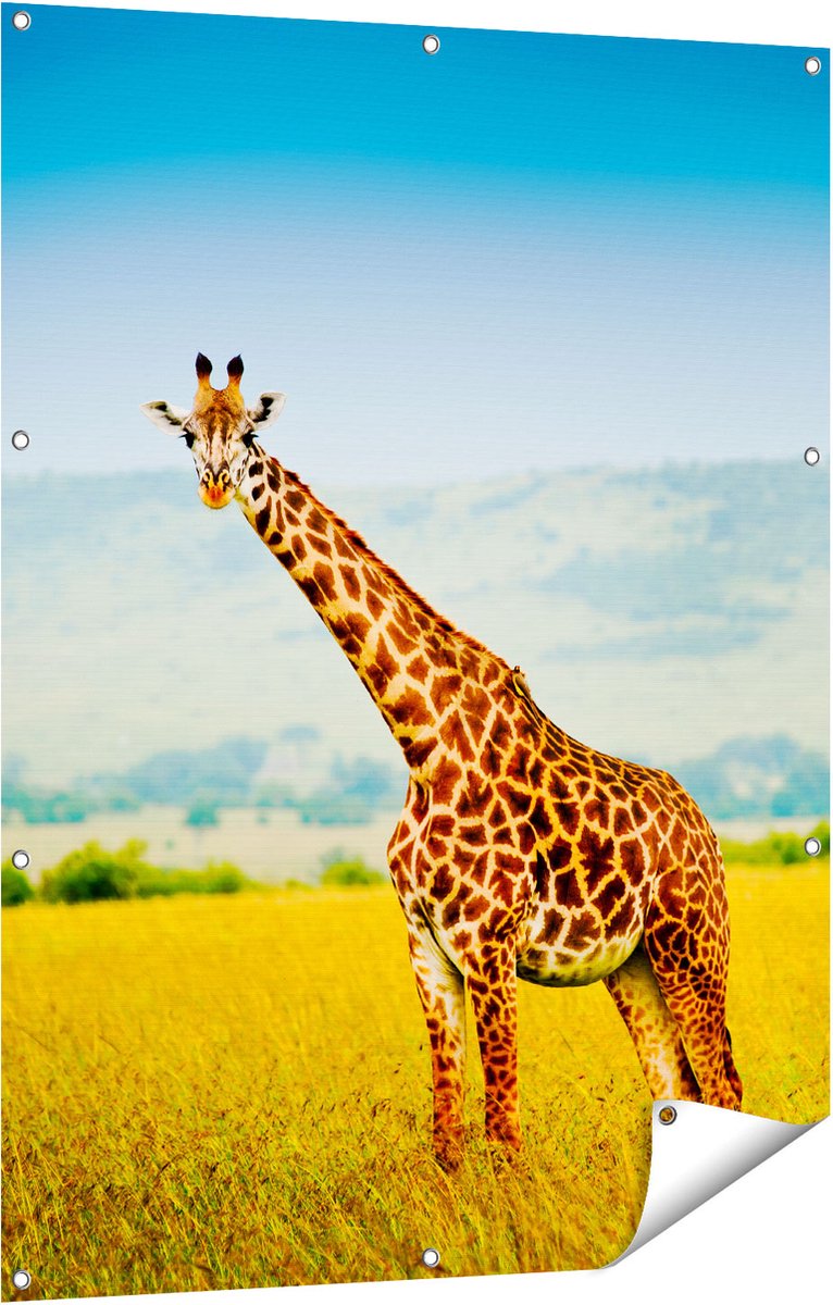 Gards Tuinposter Giraffe in het Veld - 90x120 cm - Tuindoek - Tuindecoratie - Wanddecoratie buiten - Tuinschilderij Multikleur