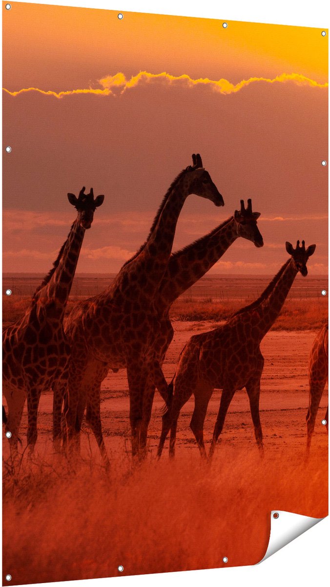 Gards Tuinposter Giraffe Kudde bij Zonsondergang - 120x180 cm - Tuindoek - Tuindecoratie - Wanddecoratie buiten - Tuinschilderij Multikleur