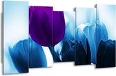 GroepArt - Canvas Schilderij - Tulp - Paars, Blauw, Wit - 150x80cm 5Luik- Groot Collectie Schilderijen Op Canvas En Wanddecoraties