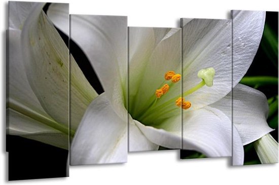 GroepArt - Canvas Schilderij - Bloem - Wit, Oranje, Zwart - 150x80cm 5Luik- Groot Collectie Schilderijen Op Canvas En Wanddecoraties
