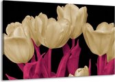 Peinture sur toile Tulipes | Blanc, noir, rose | 140x90cm 1 Liège