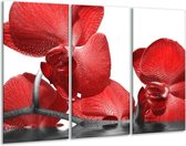 GroepArt - Schilderij -  Orchidee - Rood, Wit - 120x80cm 3Luik - 6000+ Schilderijen 0p Canvas Art Collectie