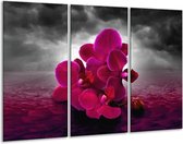 GroepArt - Schilderij -  Orchidee - Rood, Grijs, Paars - 120x80cm 3Luik - 6000+ Schilderijen 0p Canvas Art Collectie