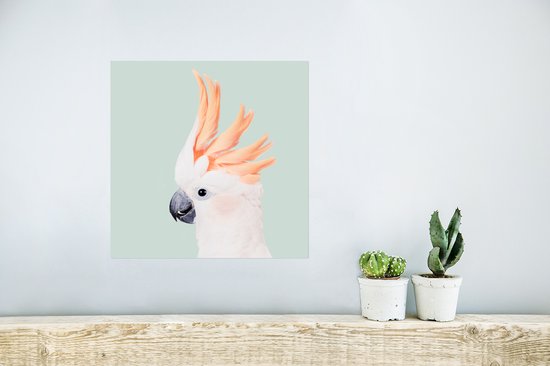 Poster Cacatoès - Animaux - Nature - Wit - 30x30 cm