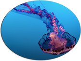 Dibond Ovaal - Roze met Paarse Kwal in Felblauwe Zee - 68x51 cm Foto op Ovaal (Met Ophangsysteem)