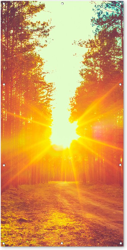 Tuinposter zonsondergang - Bos - Natuur - Avond - Tuindoek - Tuindecoratie - Tuinschilderij voor buiten - Schutting decoratie - Schuttingdoek - 100x200 cm - Tuinposters buiten